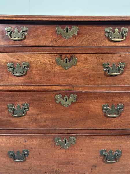 Small Mahogany Georgian Chest Of Drawers
