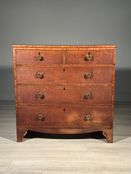 Georgian Oak Chest Of Drawers