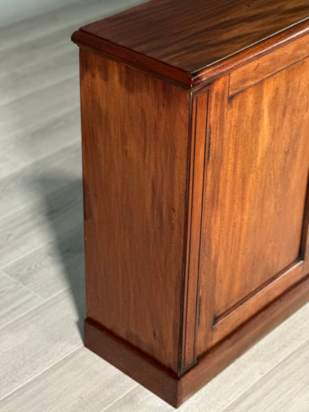 19th Century Mahogany Cupboard