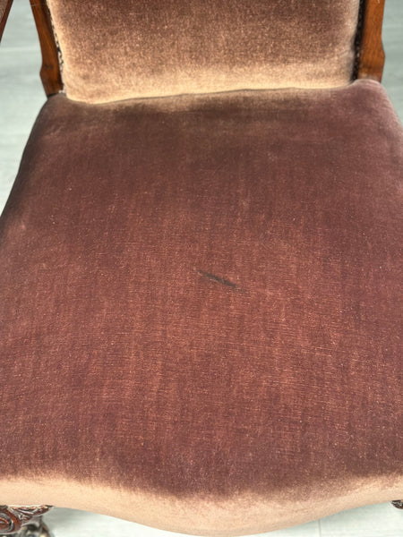 Pollard Oak 19th Century Armchair