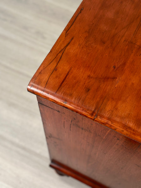 19th Century Mahogany Chest Of Drawers