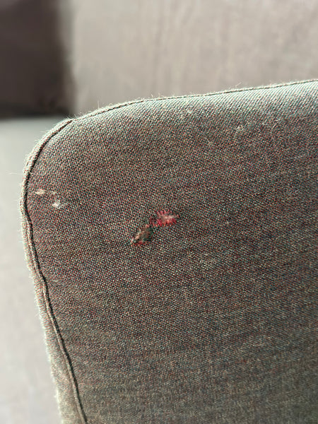 The "Gimme Shelter" Sofa by Moroso for Diesel