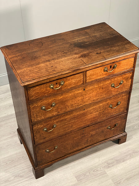 Large Georgian Oak Chest of Drawer’s