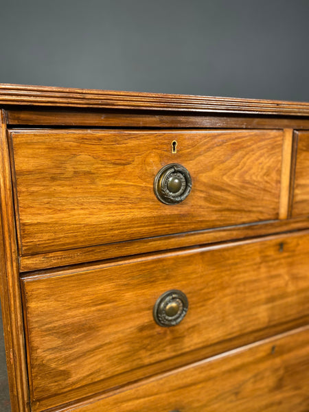 Antique Edwardian Mahogany Chest Of Drawers