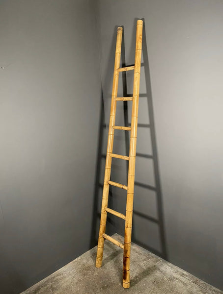 Mid 20th Century French Bamboo Ladder