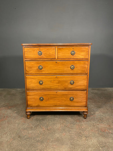 Antique Edwardian Mahogany Chest Of Drawers