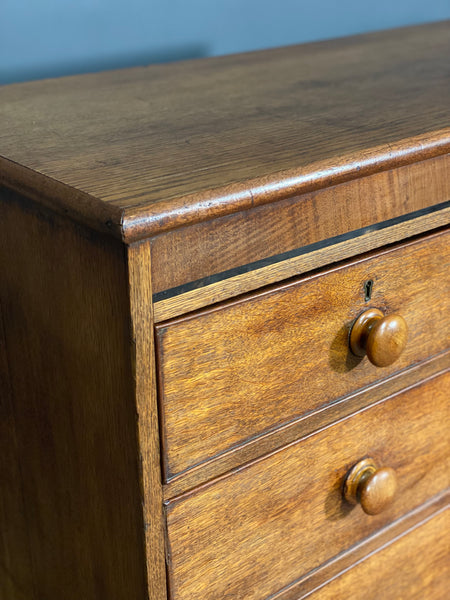 Georgian Oak Chest Of Drawers