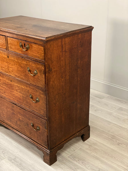 Large Georgian Oak Chest of Drawer’s
