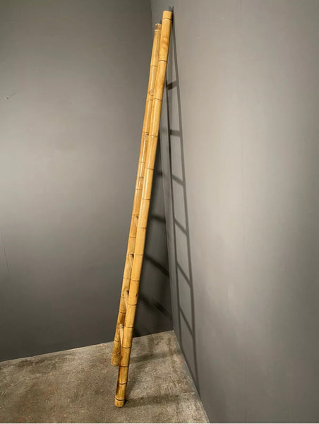 Mid 20th Century French Bamboo Ladder