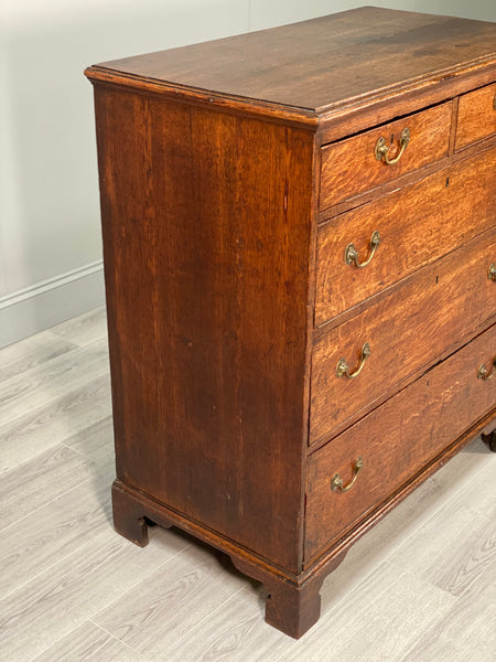 Large Georgian Oak Chest of Drawer’s