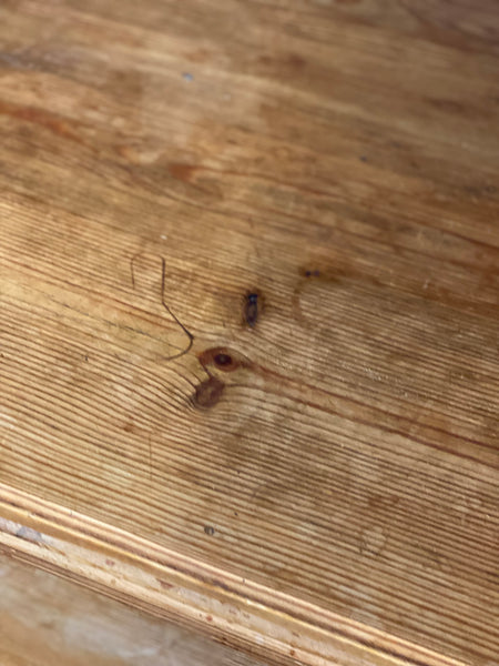 Early 20th Century Pine Shop Counter
