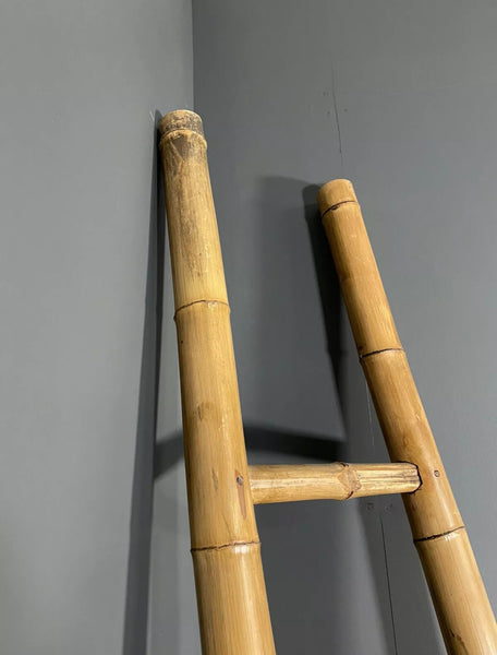 Mid 20th Century French Bamboo Ladder
