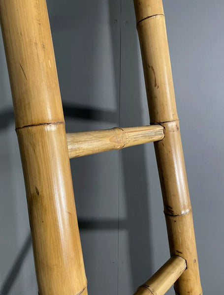 Mid 20th Century French Bamboo Ladder