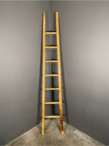 Mid 20th Century French Bamboo Ladder