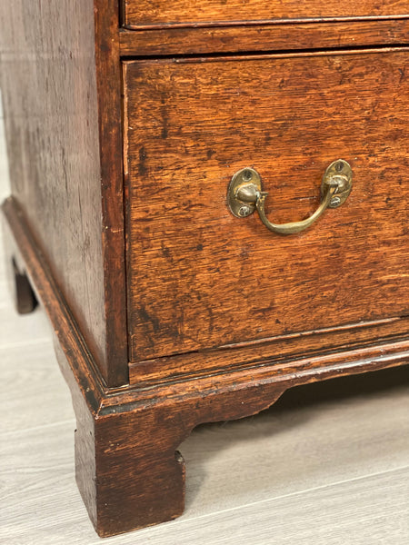 Large Georgian Oak Chest of Drawer’s