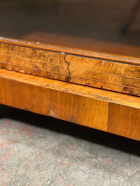 Victorian Burr Walnut Pier Cabinet